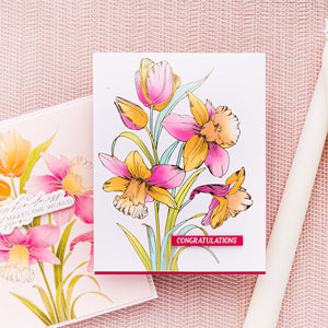 Yana's Tulips I Want It All! Bundle by Yana Smakula