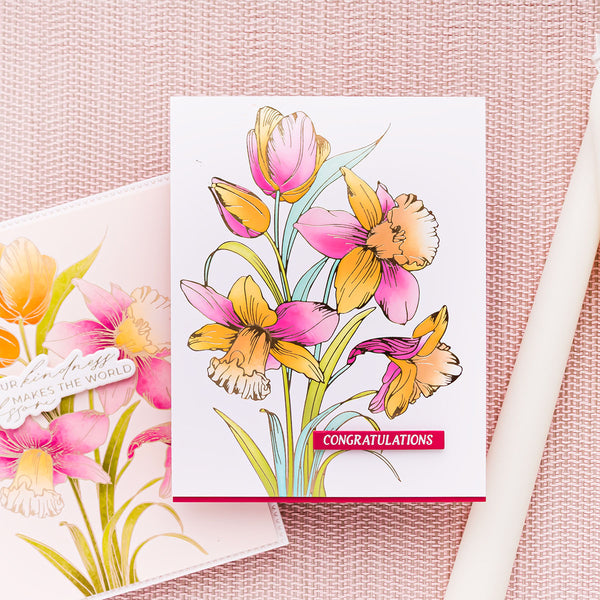 Yana's Tulips I Want It All! Bundle by Yana Smakula