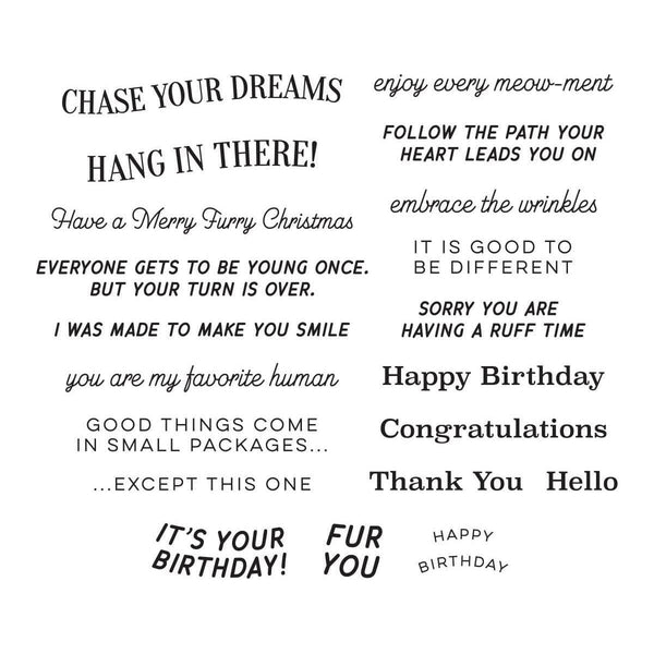 Cats and Pugs Sentiments Clear Stamp Set from the Bibi's Cats and Pugs Collection by Bibi Cameron