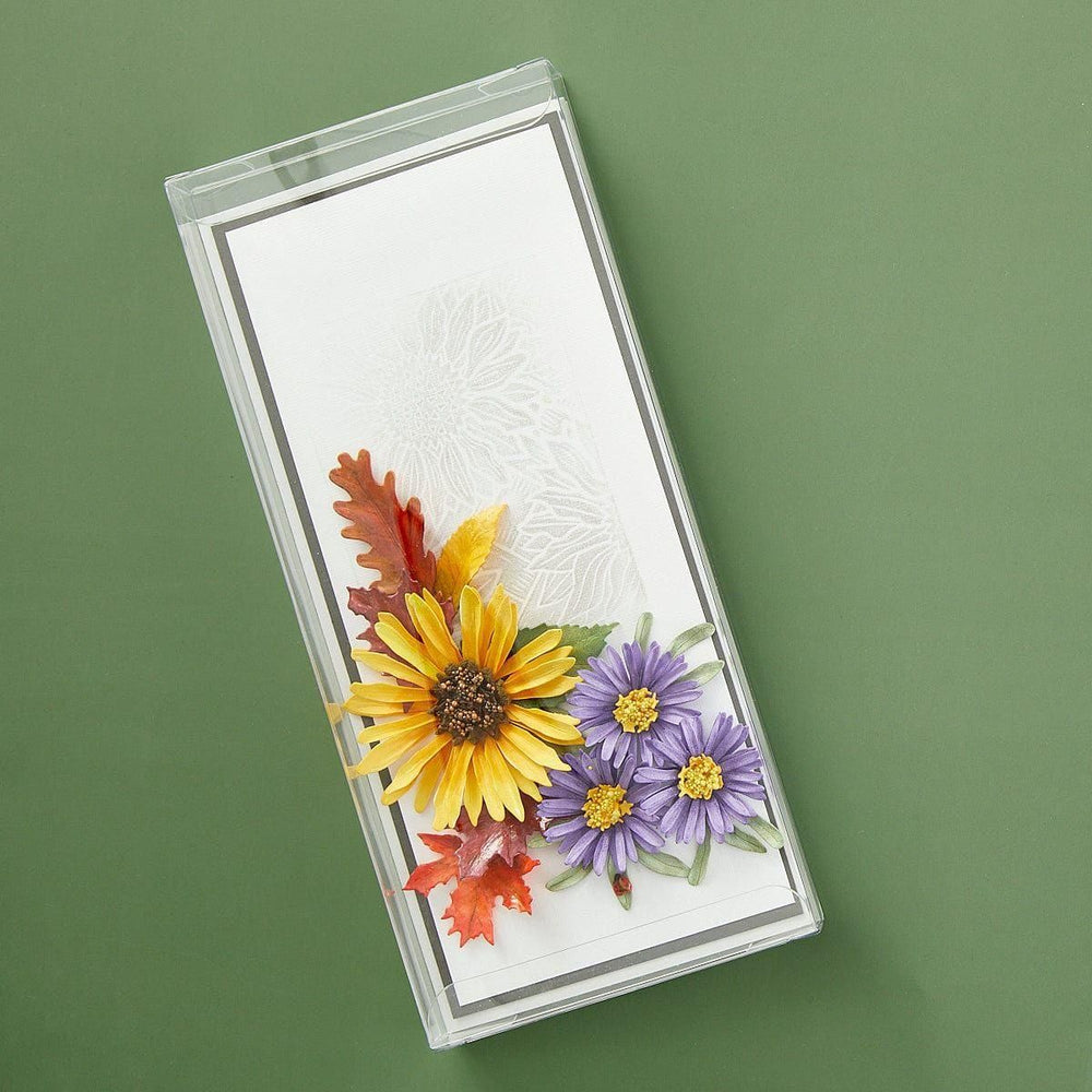 Clearbags - Crystal Clear Boxes®  (4 1/4" x 1" x 9 9/16") - 25 pack