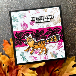 Purrfect Cats Stamp & Die Set by Simon Hurley