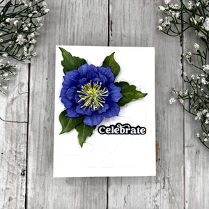 Clematis Poet Etched Dies by Susan Tierney-Cockburn