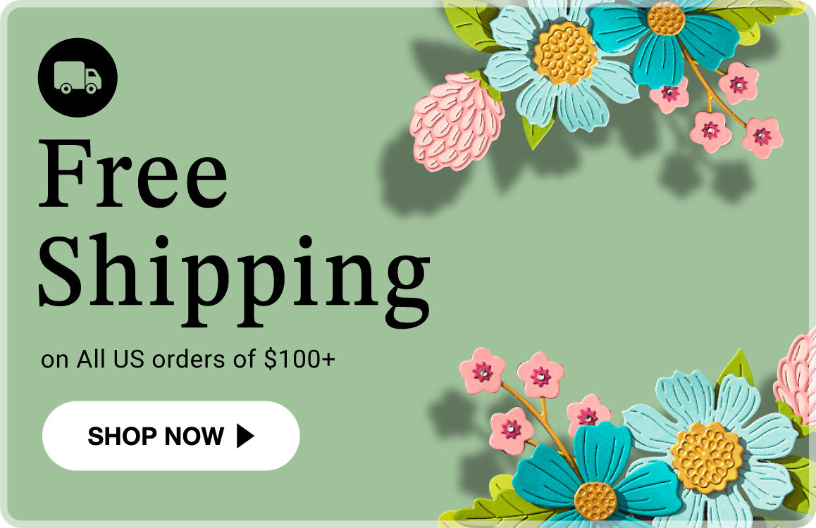 Free Shipping on All US orders of $100+