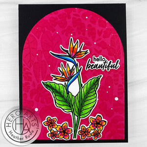 Stamp & Cut of the Month - August 2024