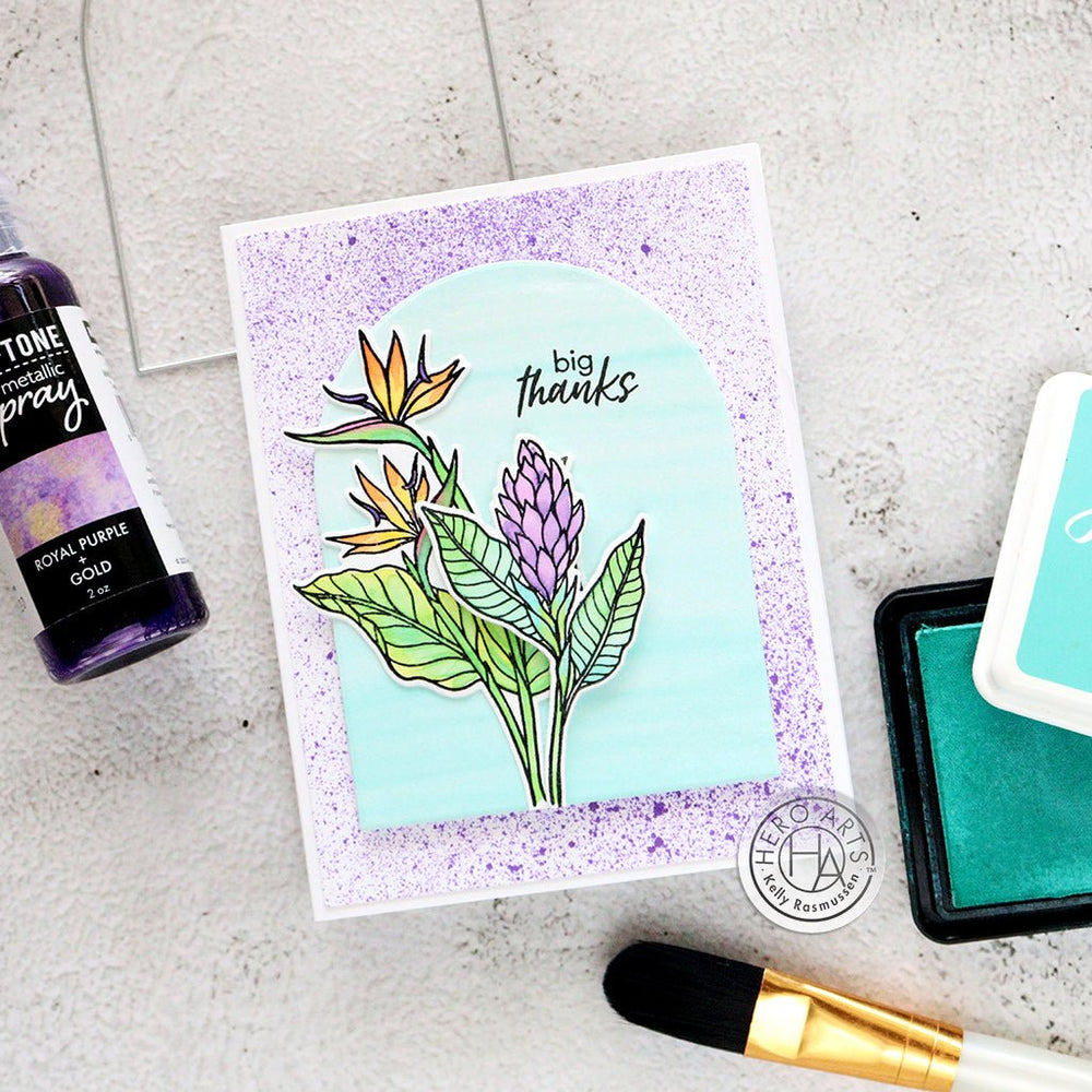 Stamp & Cut of the Month - August 2024