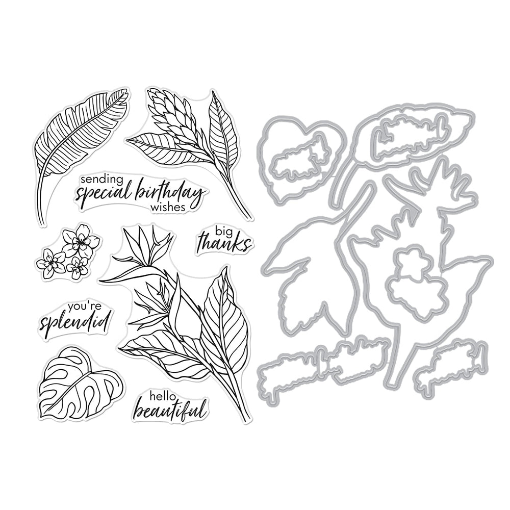 Stamp & Cut of the Month - August 2024
