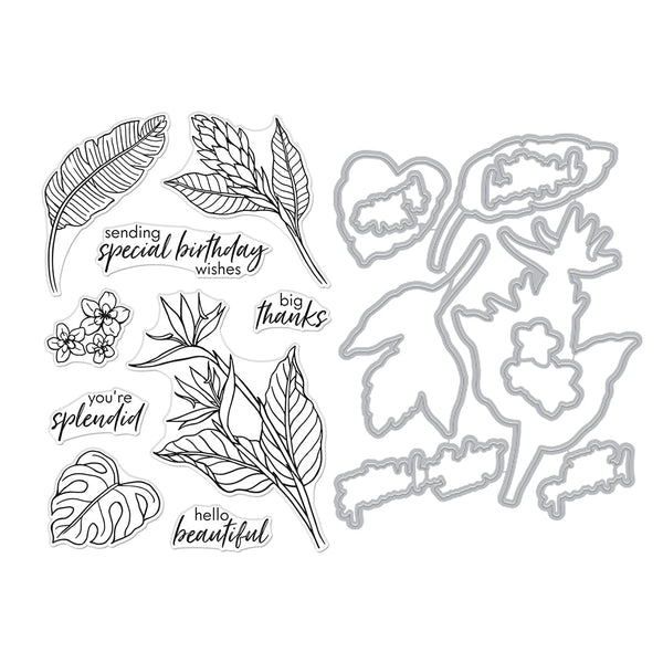 Stamp & Cut of the Month - August 2024