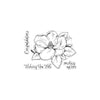 Hero Florals Magnolia Clear Stamp Set