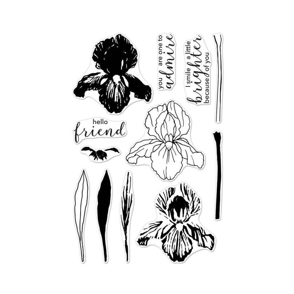 Color Layering Iris Clear Stamp Set