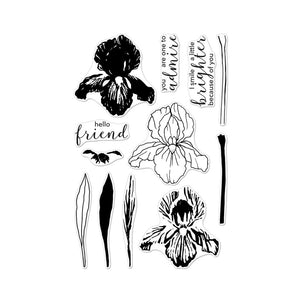 Color Layering Iris Clear Stamp Set