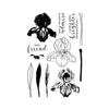 Color Layering Iris Clear Stamp Set