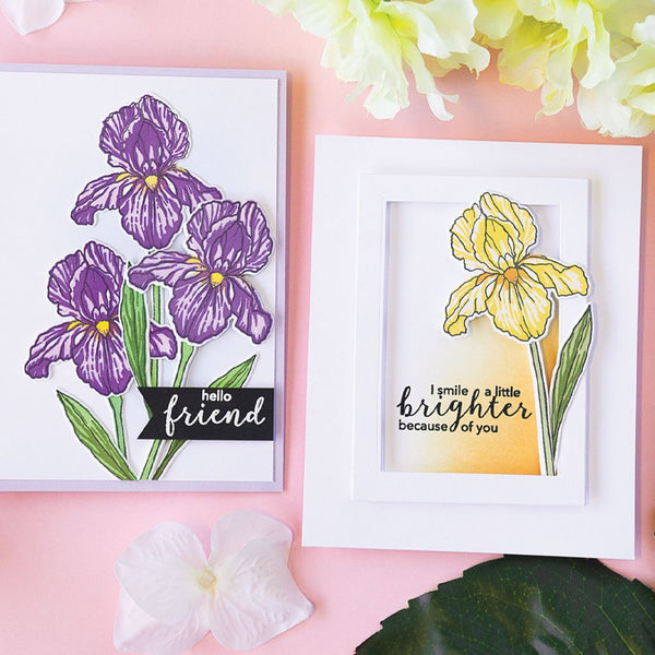 Color Layering Iris Clear Stamp Set