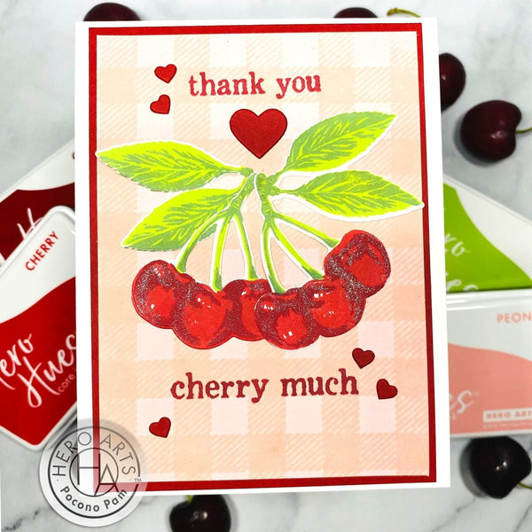 Color Layering Cherries Clear Stamp Set