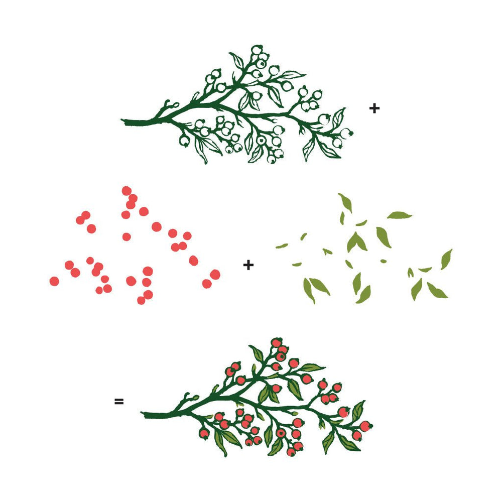 Color Layering Holly Branch Clear Stamp Set