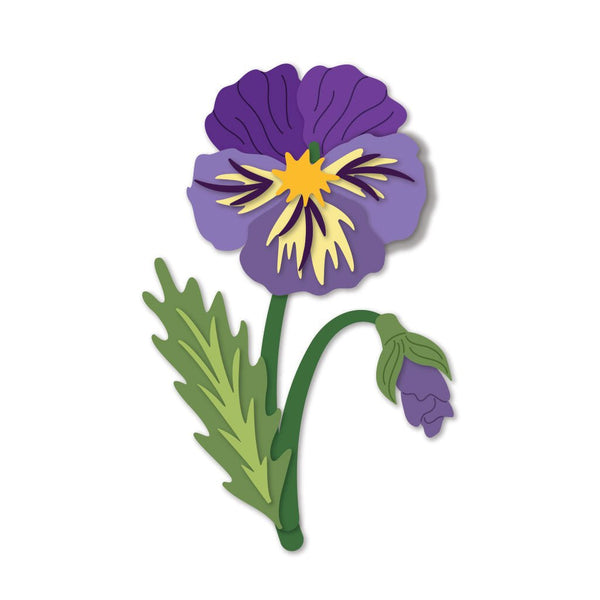 Pansy Fancy Dies