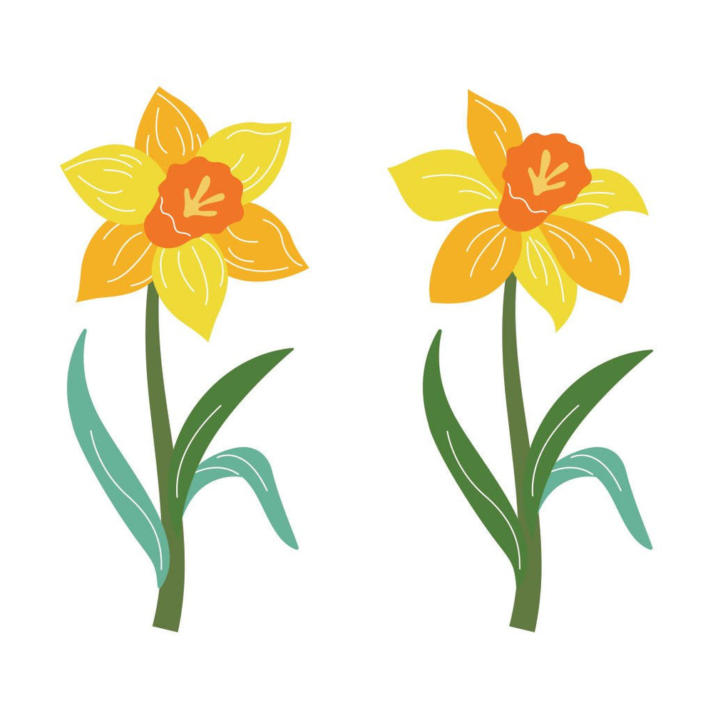 Daffodil Fancy Dies