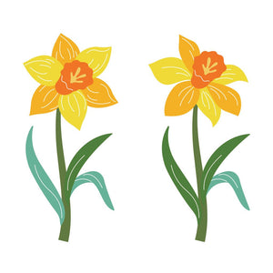 Daffodil Fancy Dies