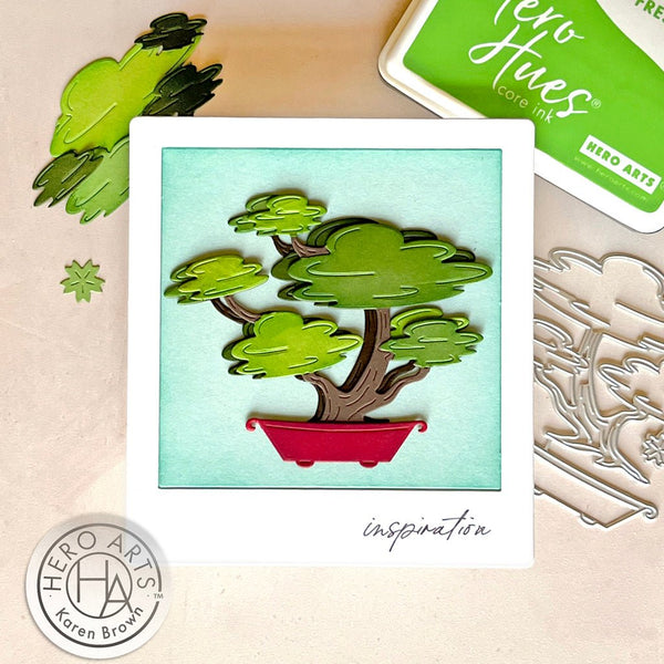 Bonsai Fancy Dies