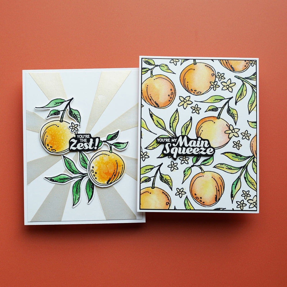 Sketched Citrus Clear Stamp and Die Set  by Simon Hurley