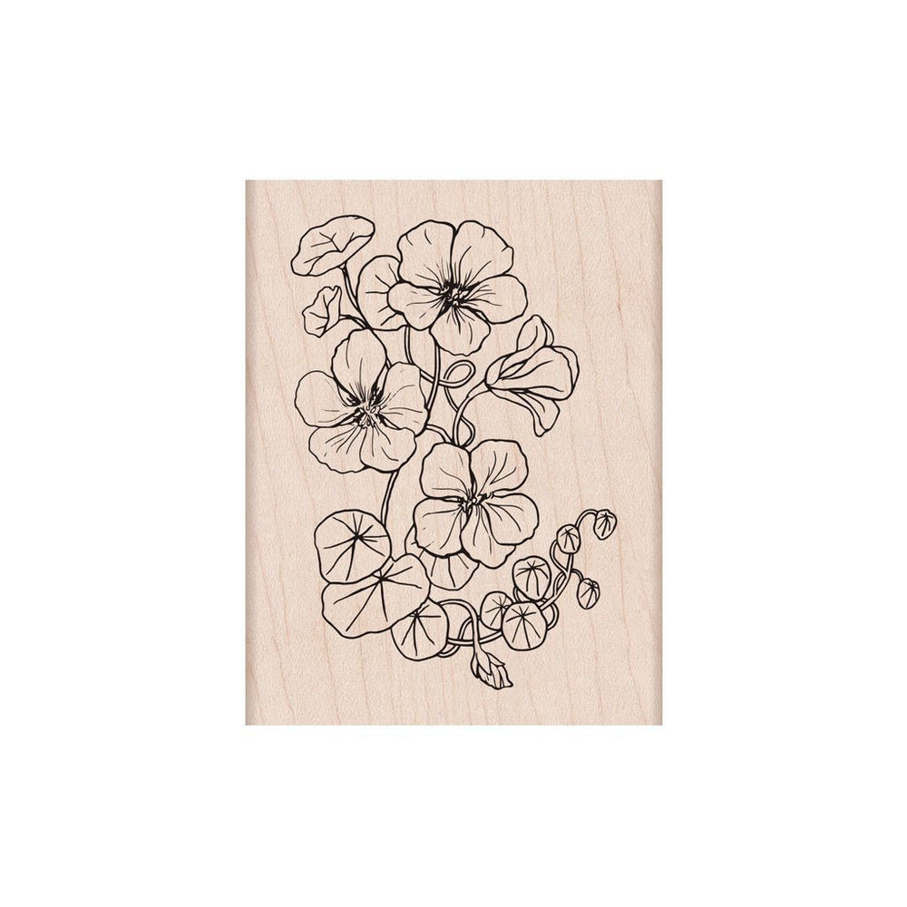 Flowering Nasturtium Woodblock Stamp