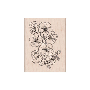 Flowering Nasturtium Woodblock Stamp