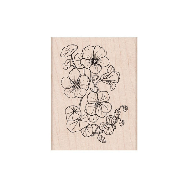 Flowering Nasturtium Woodblock Stamp
