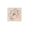Flowering Magnolia Woodblock Stamp