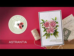 Astrantia Etched Dies by Susan Tierney-Cockburn