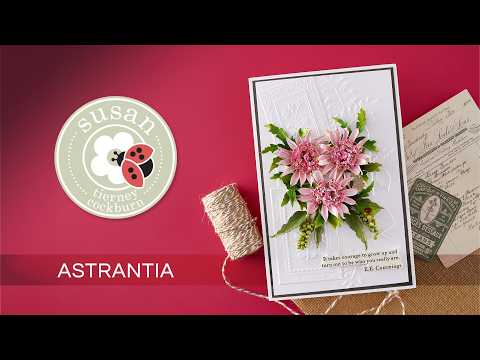 Astrantia Etched Dies by Susan Tierney-Cockburn