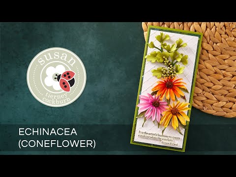 Summer Solstice Garden Die Bundle