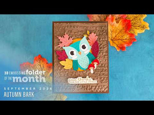 3D Embossing Folder of the Month Membership