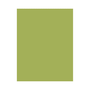 Hero Hues Premium Cardstock Kiwi