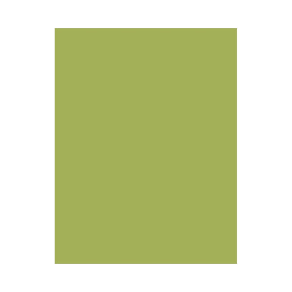 Hero Hues Premium Cardstock Kiwi