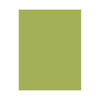Hero Hues Premium Cardstock Kiwi