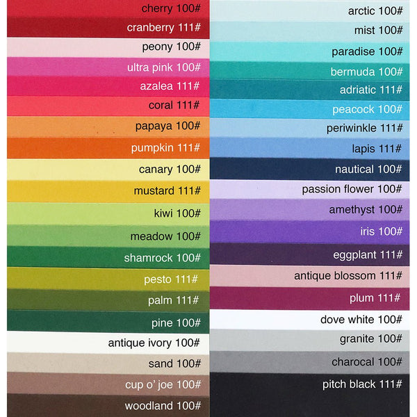 Hero Hues Premium Cardstock Peacock
