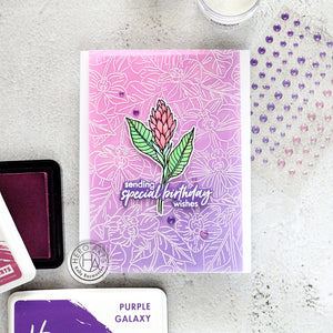 Orchids Cling of the Month - August 2024