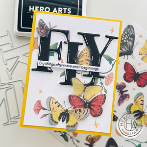 Butterfly Hero Transfers