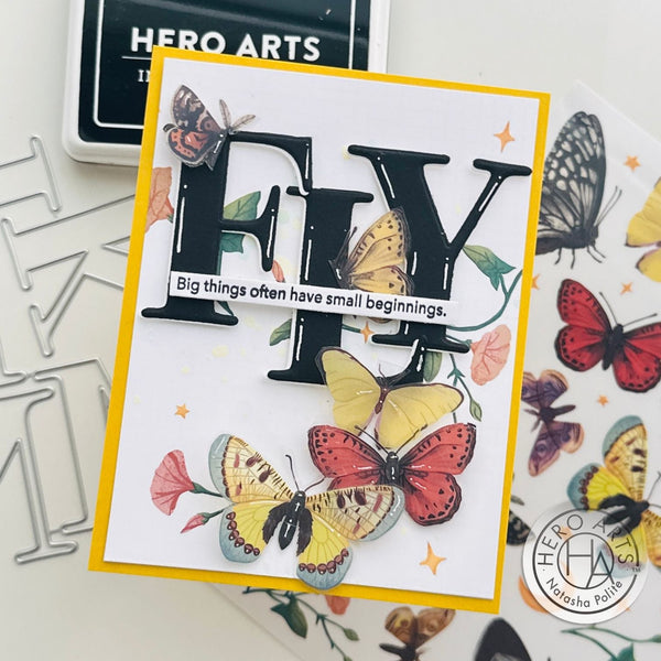 Butterfly Hero Transfers