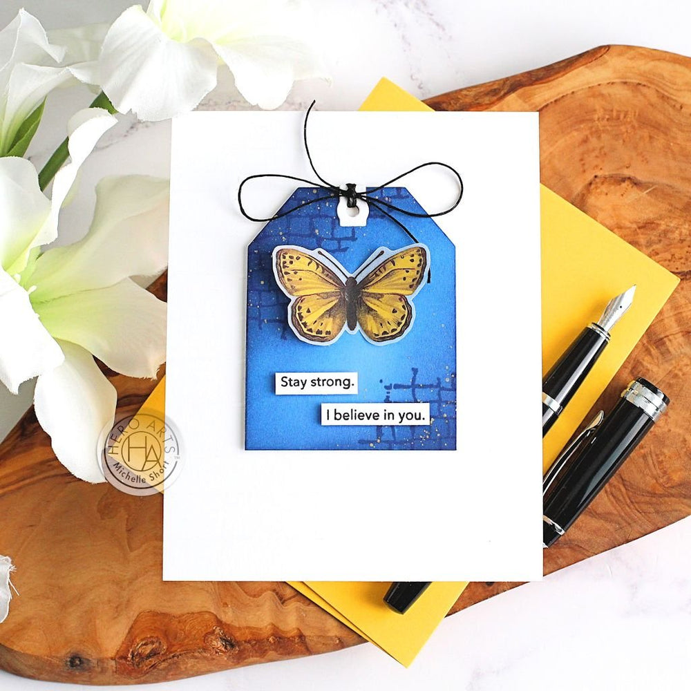 Butterfly Hero Transfers