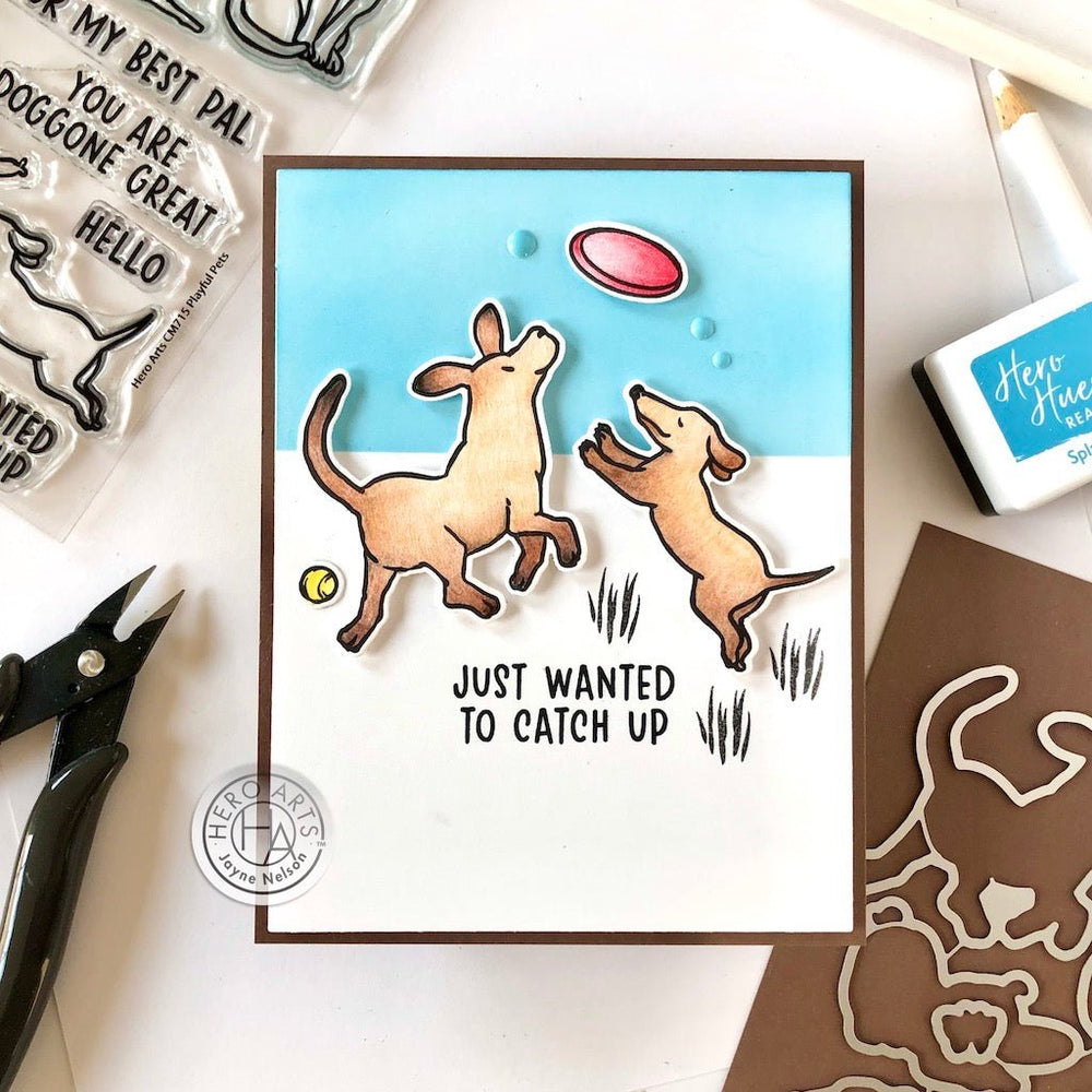 Playful Pets Stamp & Cut