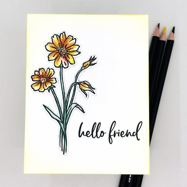 Wild Flowers Stamp & Cut