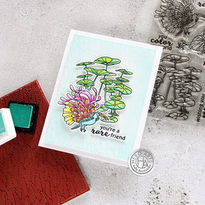 Jungle Serenity Bundle