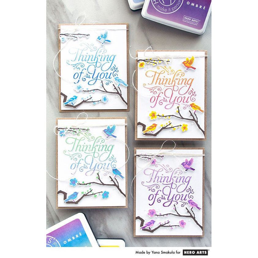 AF384 Ombré Spring Brights - Hero Arts