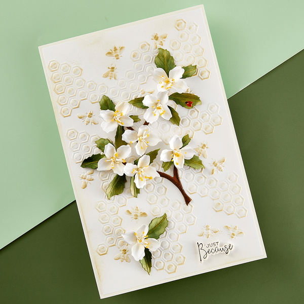 Bee-Cause 3D Embossing Folder by Susan Tierney-Cockburn