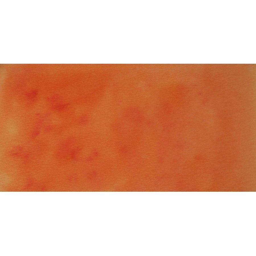 The Crafters Workshop - Desert Ranch ColorSparx® Watercolor Powders