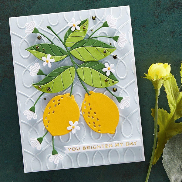 Loops Embossing Folder