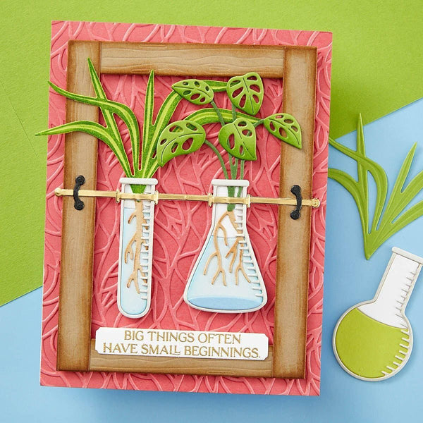 Propagation Garden Frames Etched Dies from the Propagation Garden Collection by Annie Williams