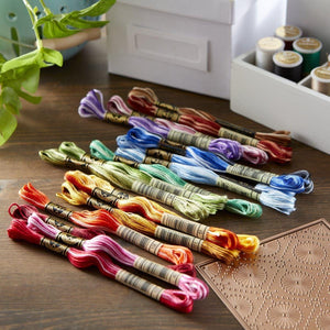 DMC Variegated Floss Bundle