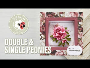 Double & Single Peonies Etched Dies from Susan's Spring Flora by Susan Tierney-Cockburn